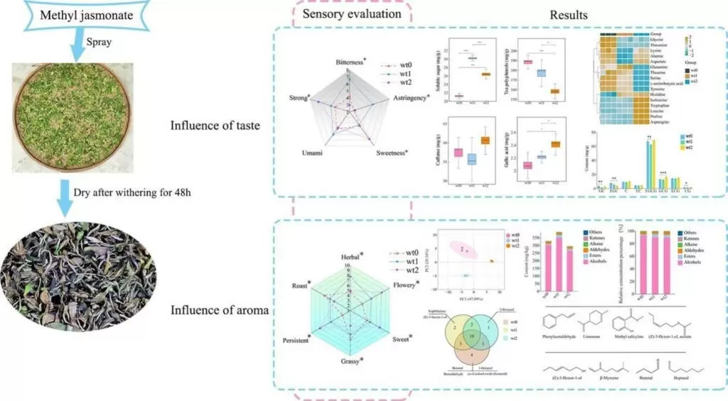 Разумный взгляд на добавки в белый чай и аромат