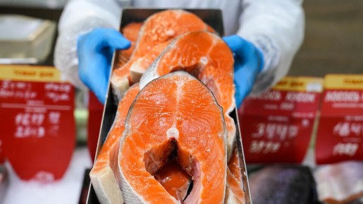 Как распознать настоящую семгу: советы экспертов по отличию рыбы