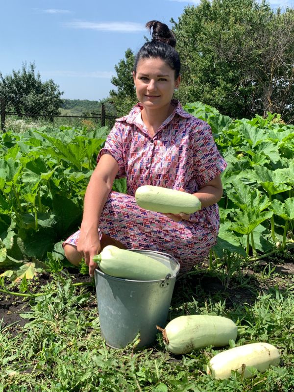 Кабачки как звезда кулинарного искусства