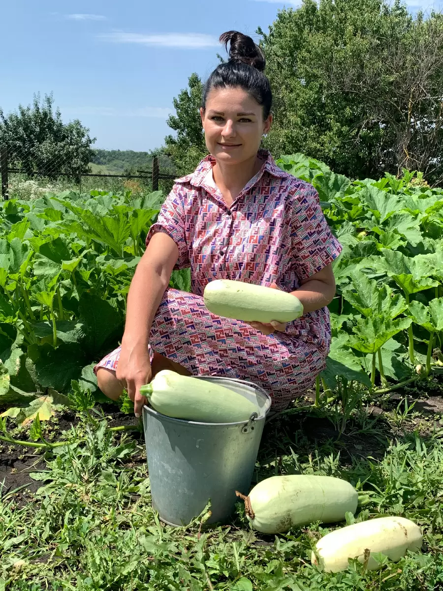 Кабачки как звезда кулинарного искусства