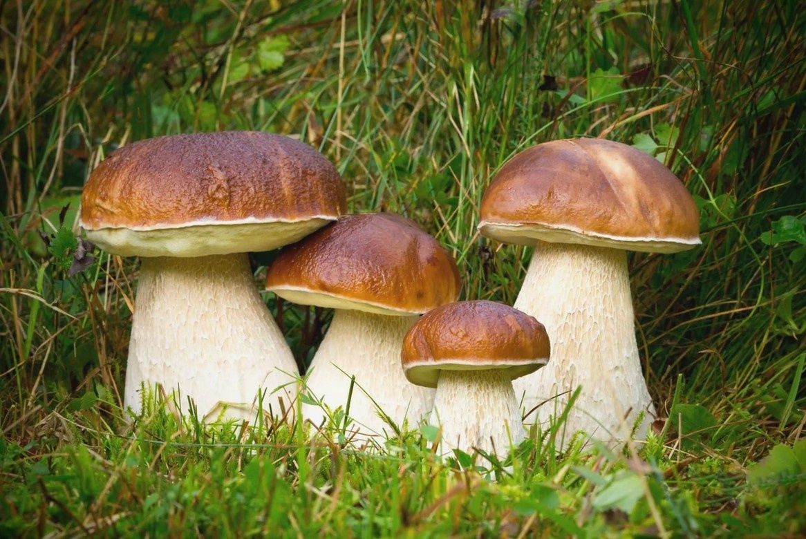 � ���� ����� ������: ��� ��� � ������ �� �����?