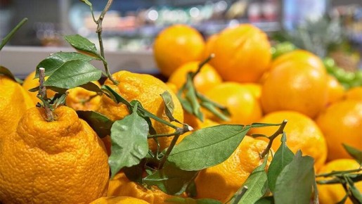 ������� ������ �������: ��� ���������� ��������� � �������� ����� ����