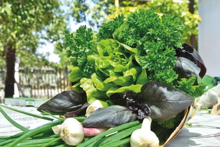 ��� ��������� ����� ��� ��� ������ �������: ������ ������������