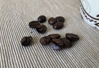 ���� �� ����� ���� ����: ������ ������������