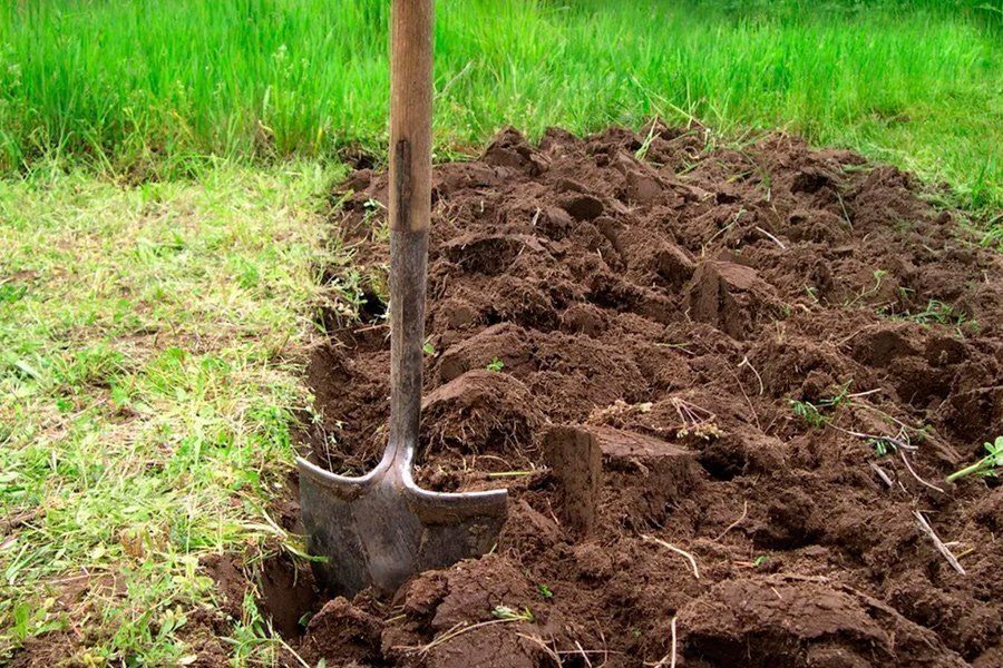 ����� � ����: ��������� ��� �������� � ��� ������� ��� ��������� �����?