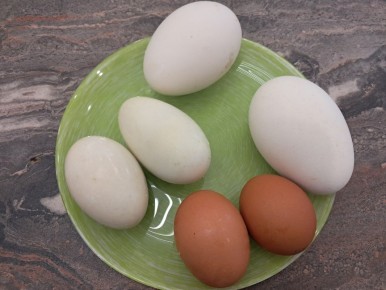 ������� � ������ ����: ����� �� �� ��������� ��� ����� ��������?