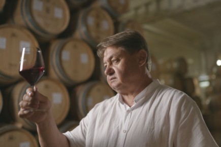 Кубань в центре внимания: старт второго сезона «Время вина: люди»