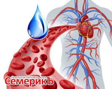 ������� ���������� �� ��������-���������� �������