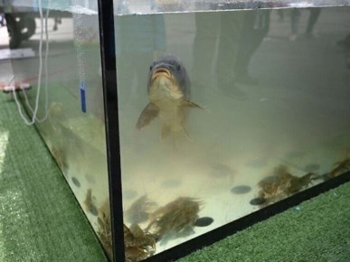 Южный Урал готов к рыболовному прорыву