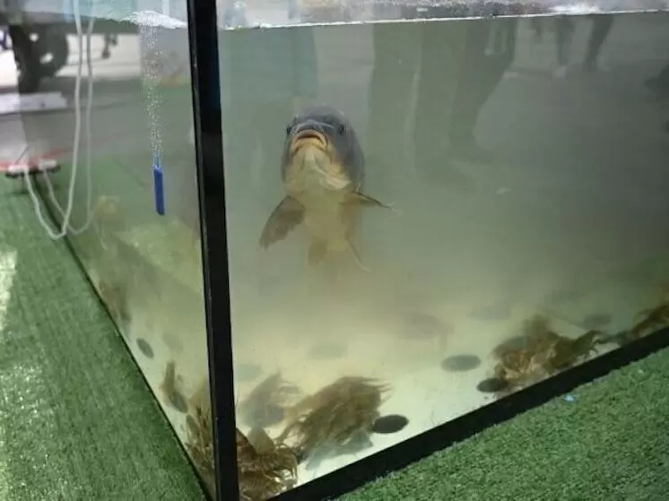 Южный Урал готов к рыболовному прорыву