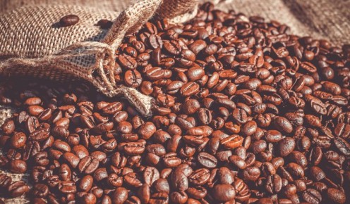 �����: ��� �������� ���� �������� ���