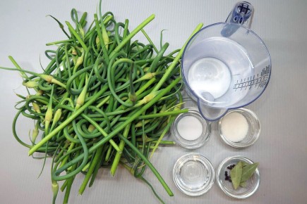 ������������ ��������� ������� �� ����