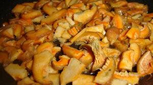 ������ ������ �� ���������: ������� ��������� �����