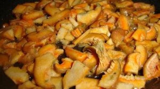 ������ ������ �� ���������: ������� ��������� �����