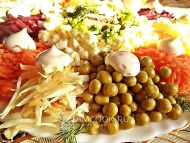 ������������ ������ �����: ��� ������������ � ������� ����� ����� ��������� ���������� ����������