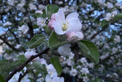 ��� �������� ���� ��� �� ���������� ��������