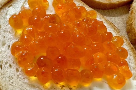 ���� ����� �������� ������� ����: ������ ������������ ��������