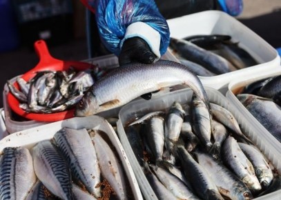 ������ ������� � ����� �� ����� ������ ��������