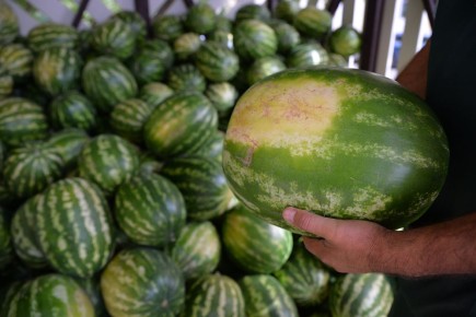 ���������� �������� �������: �������� ��������� � �������� � ������